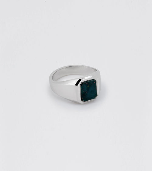 Ornament Bloodstone Signet Ring - Sar Jewellery