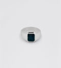 Ornament Bloodstone Signet Ring - Sar Jewellery